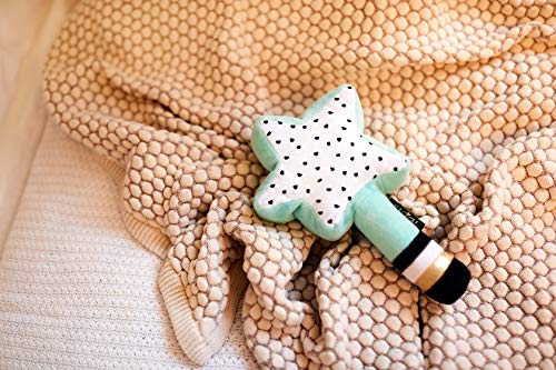 Miniland Wandy Star luce notturna stella verde 23 cm