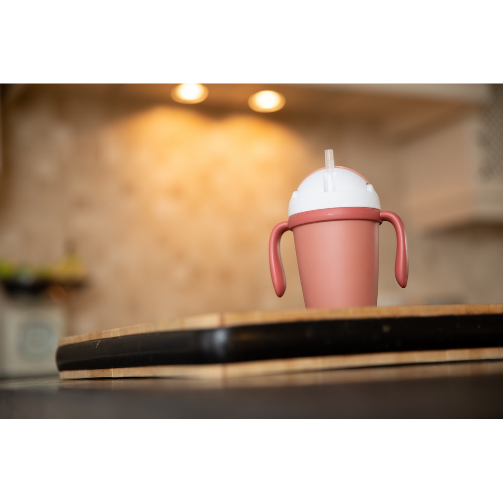 BoJungle Food & drink bicchiere CPLA terracotta eco