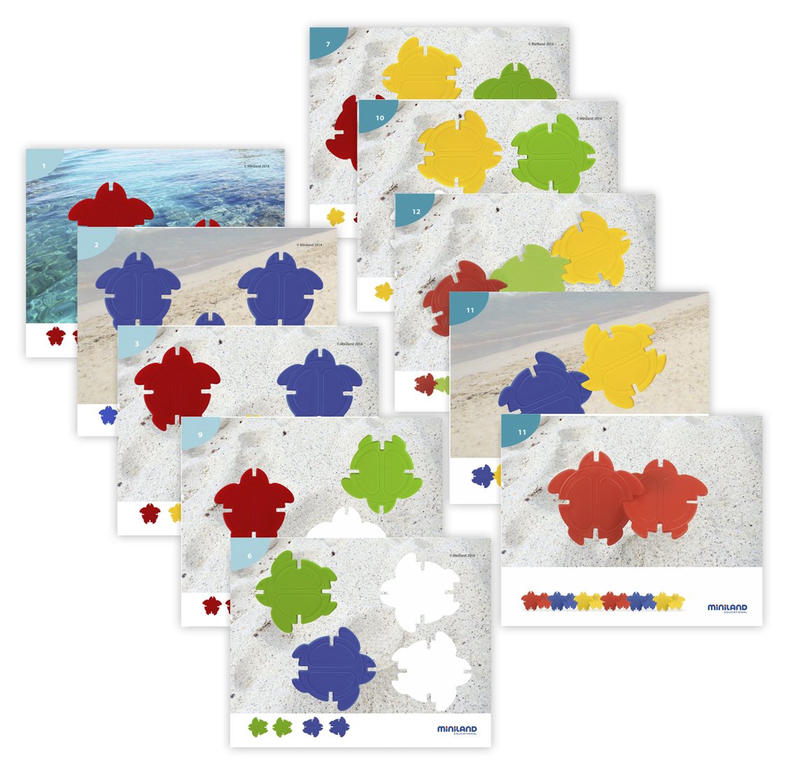 Miniland Tartarughe Logiche gioco logica 18 schede colori
