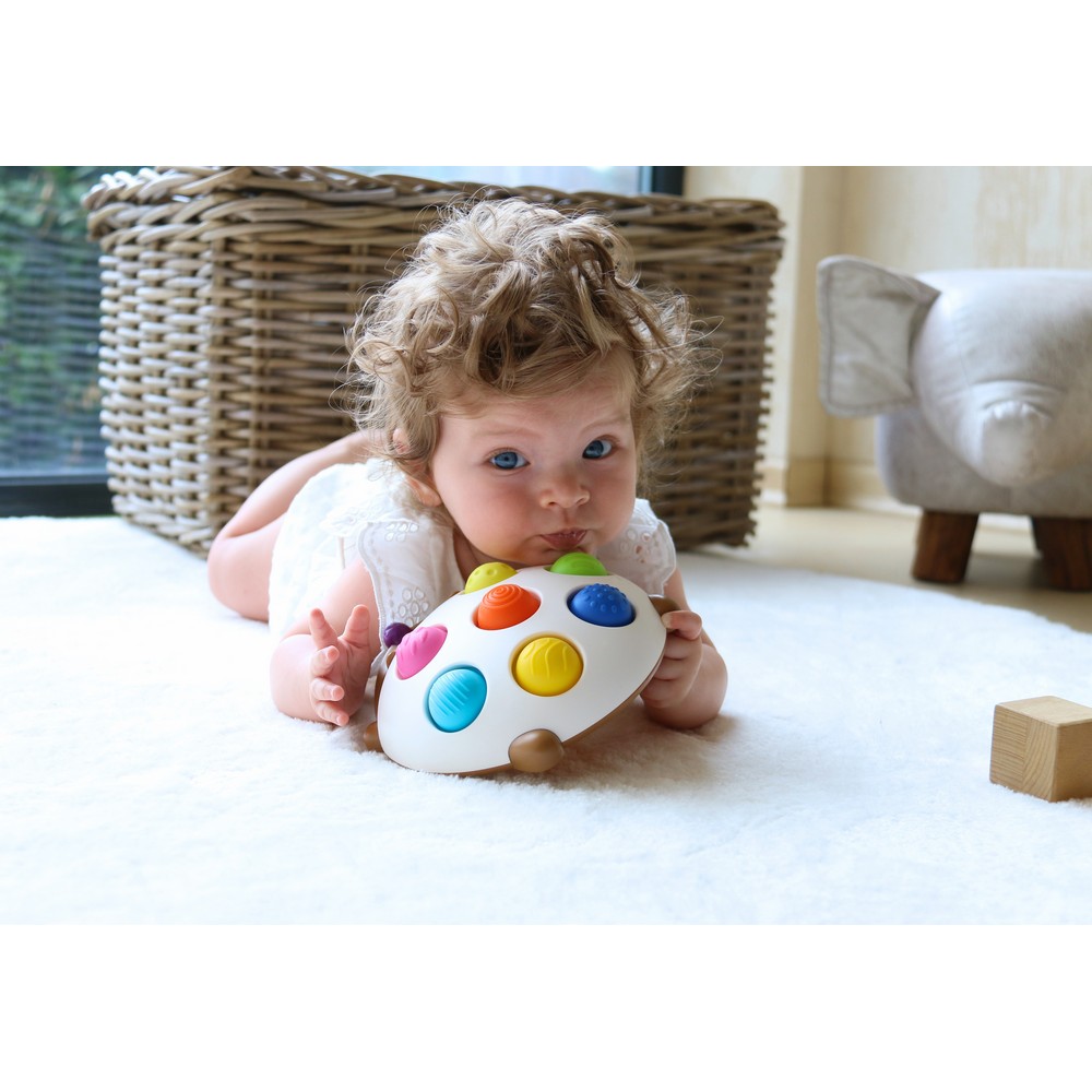 BoJungle Playtime Eddy Riccio Pop Gioco Sensoriale Silicone