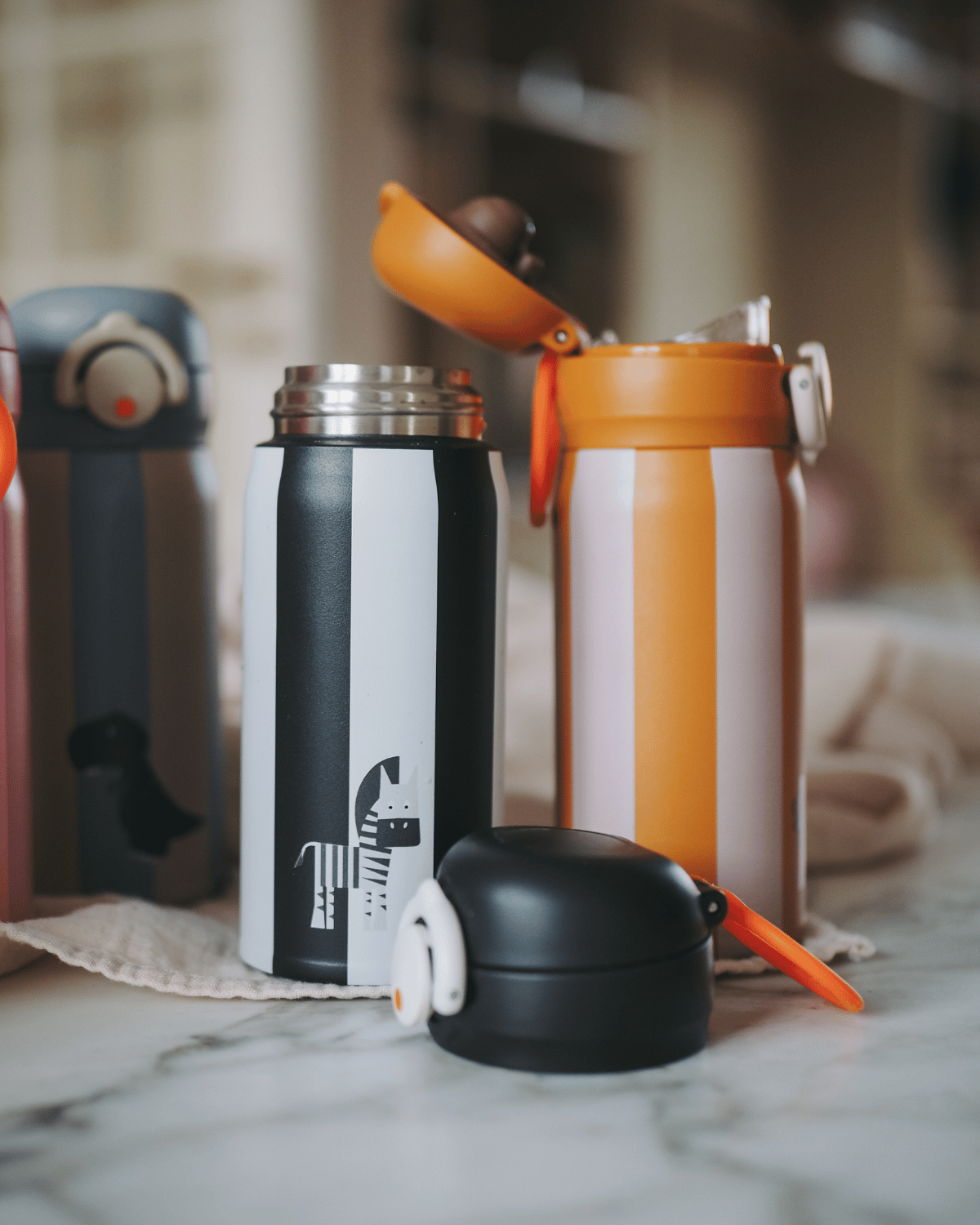 Noui Noui Water Bottles Borraccia Lion 350 ml