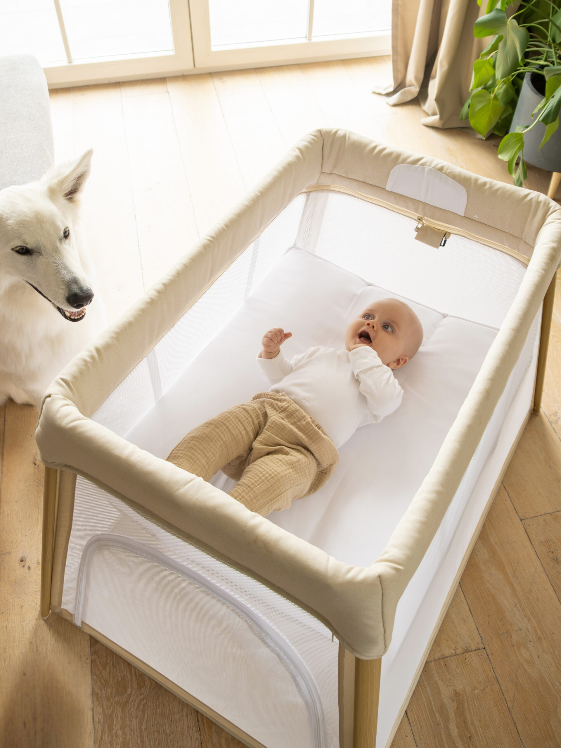 BoJungle Travel Crib Pure White lettino viaggio bianco 2 altezze