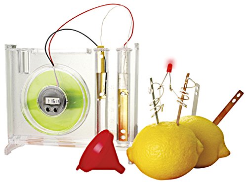 Miniland Scienze natura e STEM batteria naturale