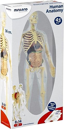 Miniland Educational Anatomy Gioco Didattico Corpo Umano