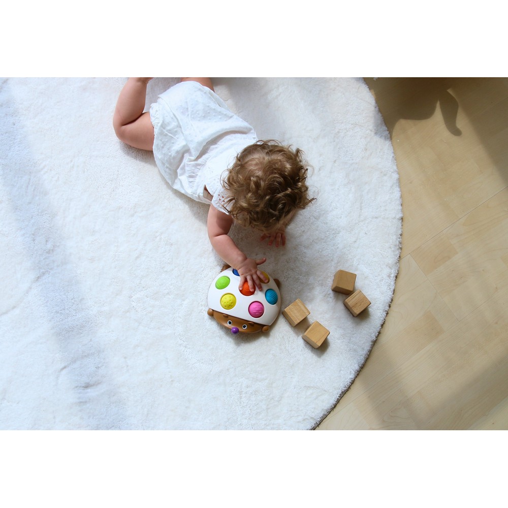 BoJungle Playtime Eddy Riccio Pop Gioco Sensoriale Silicone