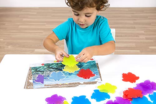Miniland Tartarughe Traslucide set 20 pezzi 4 colori