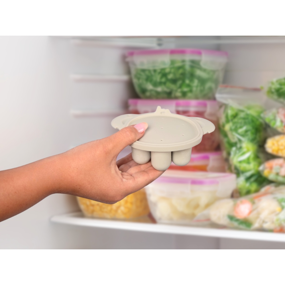 BoJungle Food & Drink Fruit Feeder Freezer Tray vassoio dune
