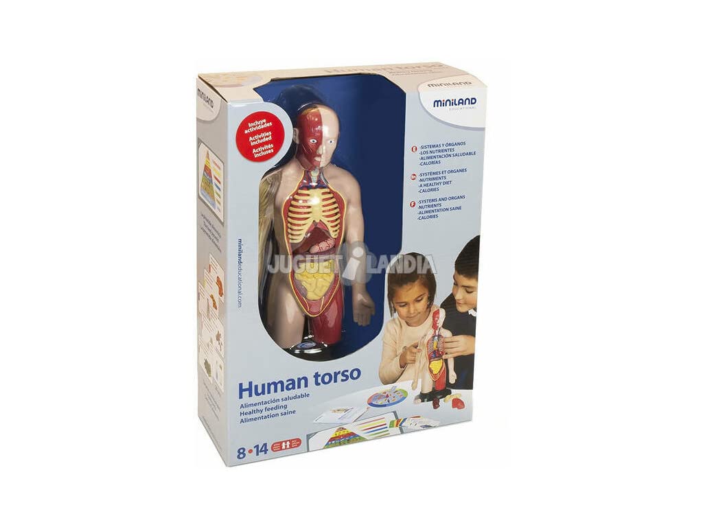 Miniland Scienze 99113 torso sano sistema digestivo set 16 pezzi