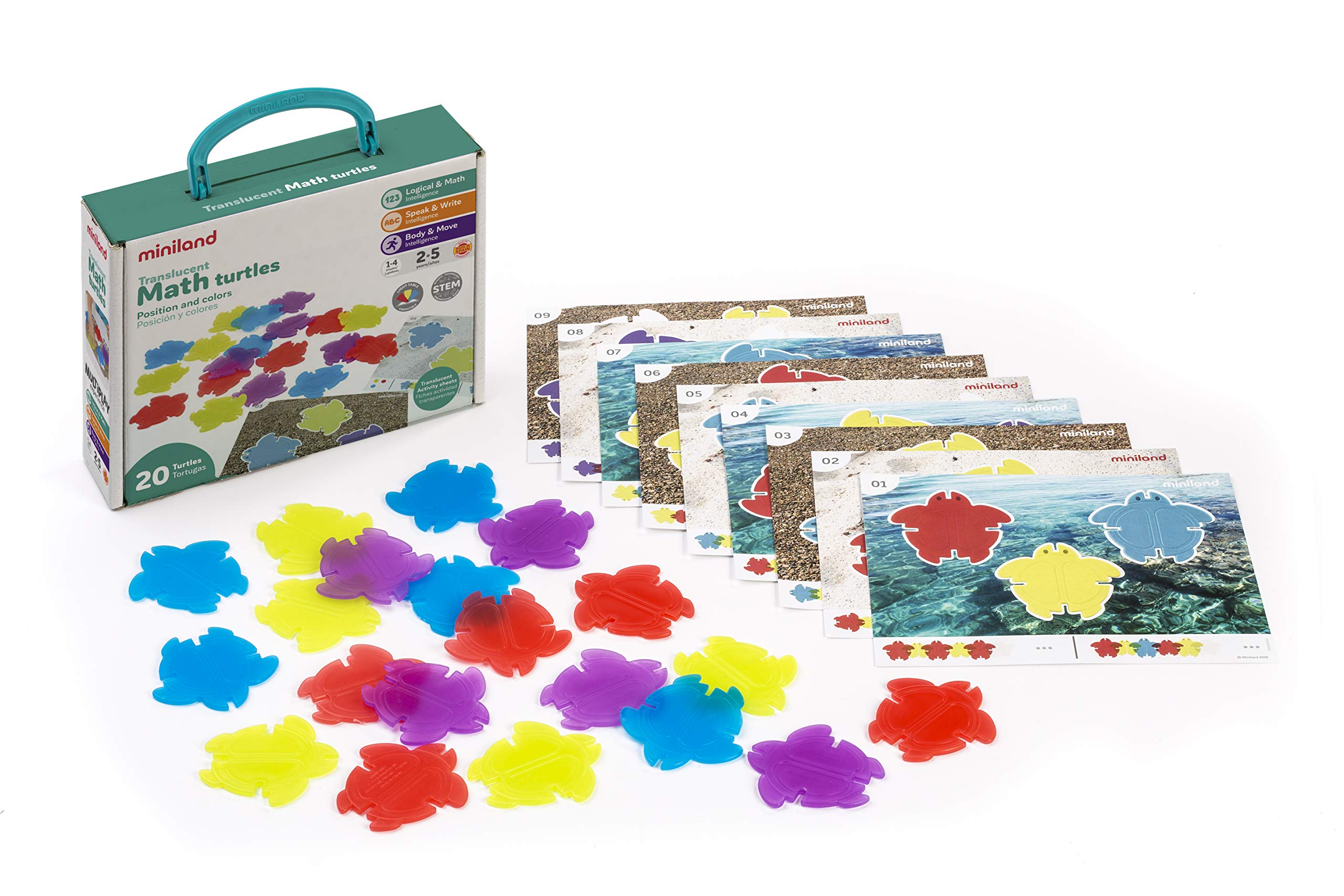 Miniland Tartarughe Traslucide set 20 pezzi 4 colori