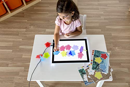 Miniland Tartarughe Traslucide set 20 pezzi 4 colori