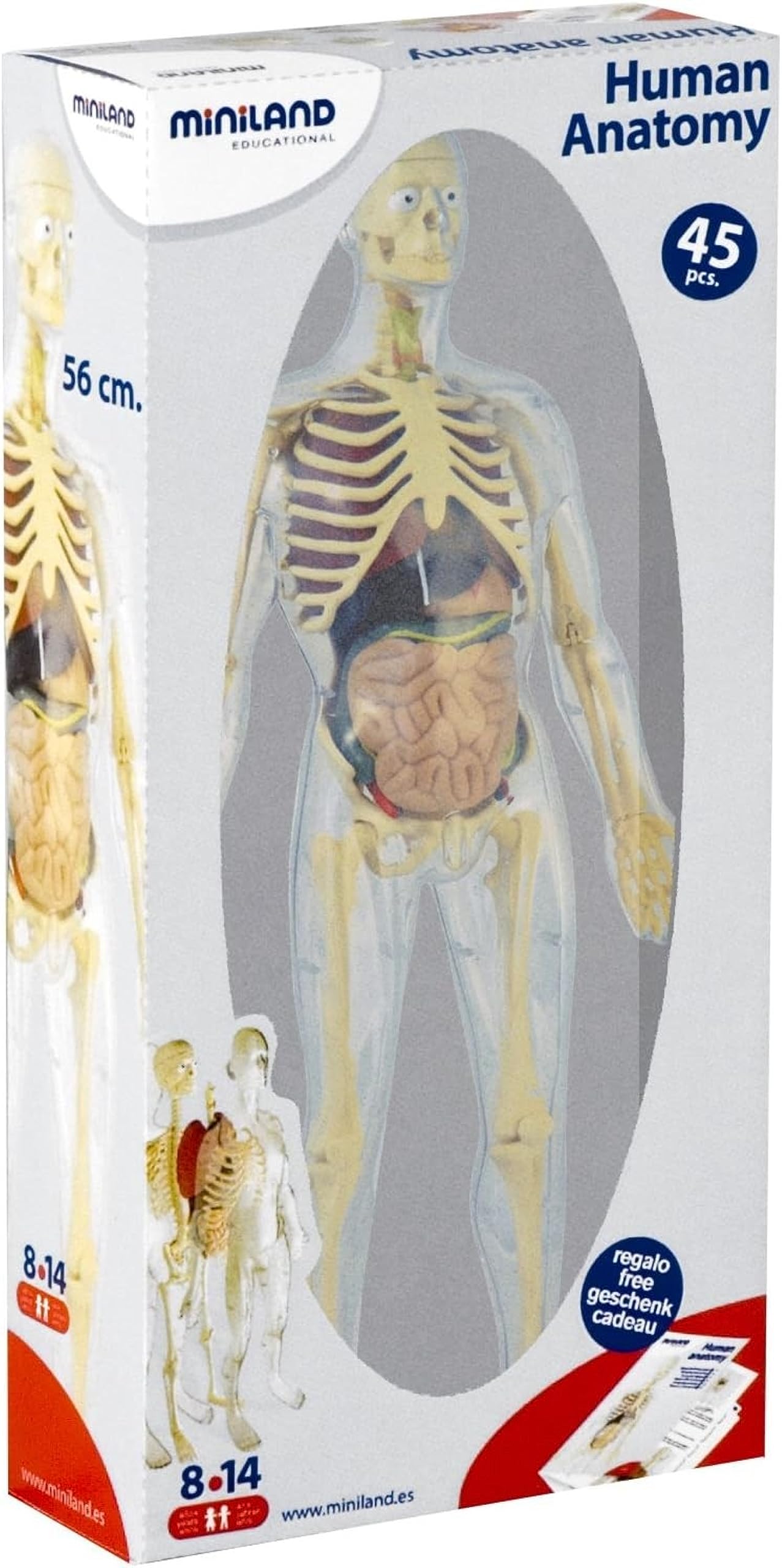 Miniland Educational Anatomy Gioco Didattico Corpo Umano