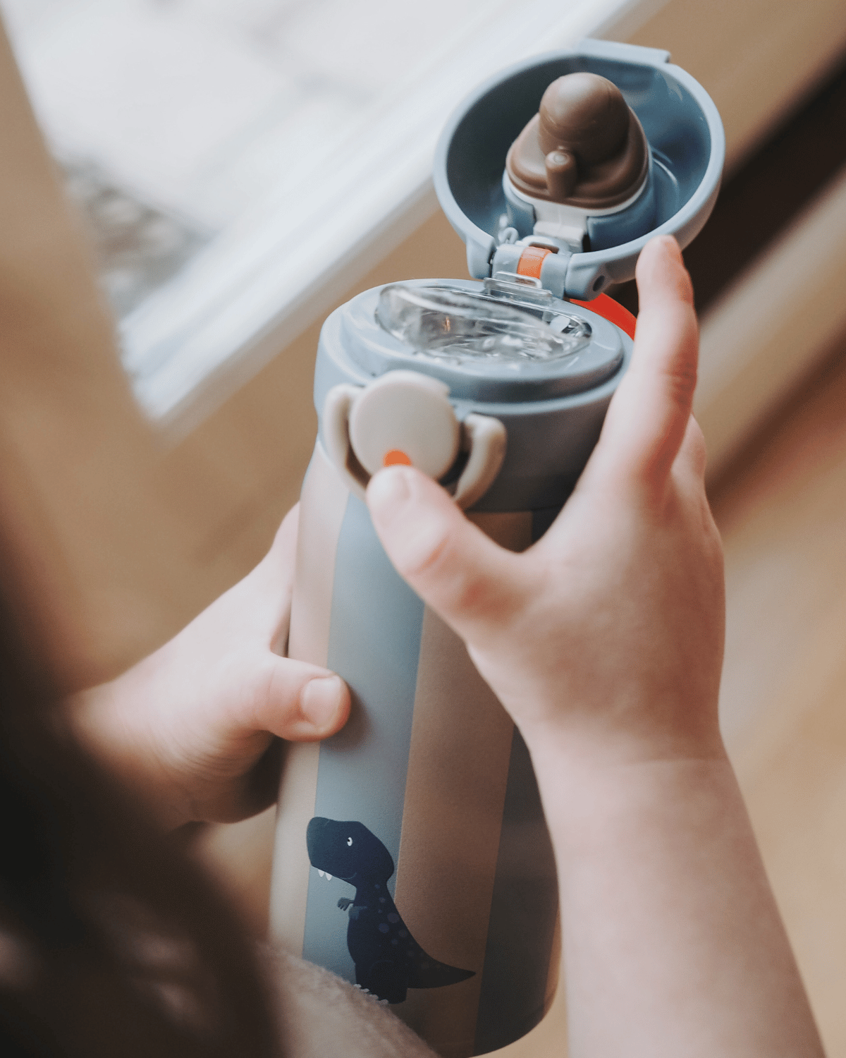 Noui Noui Water Bottles borraccia Dino 350 ml