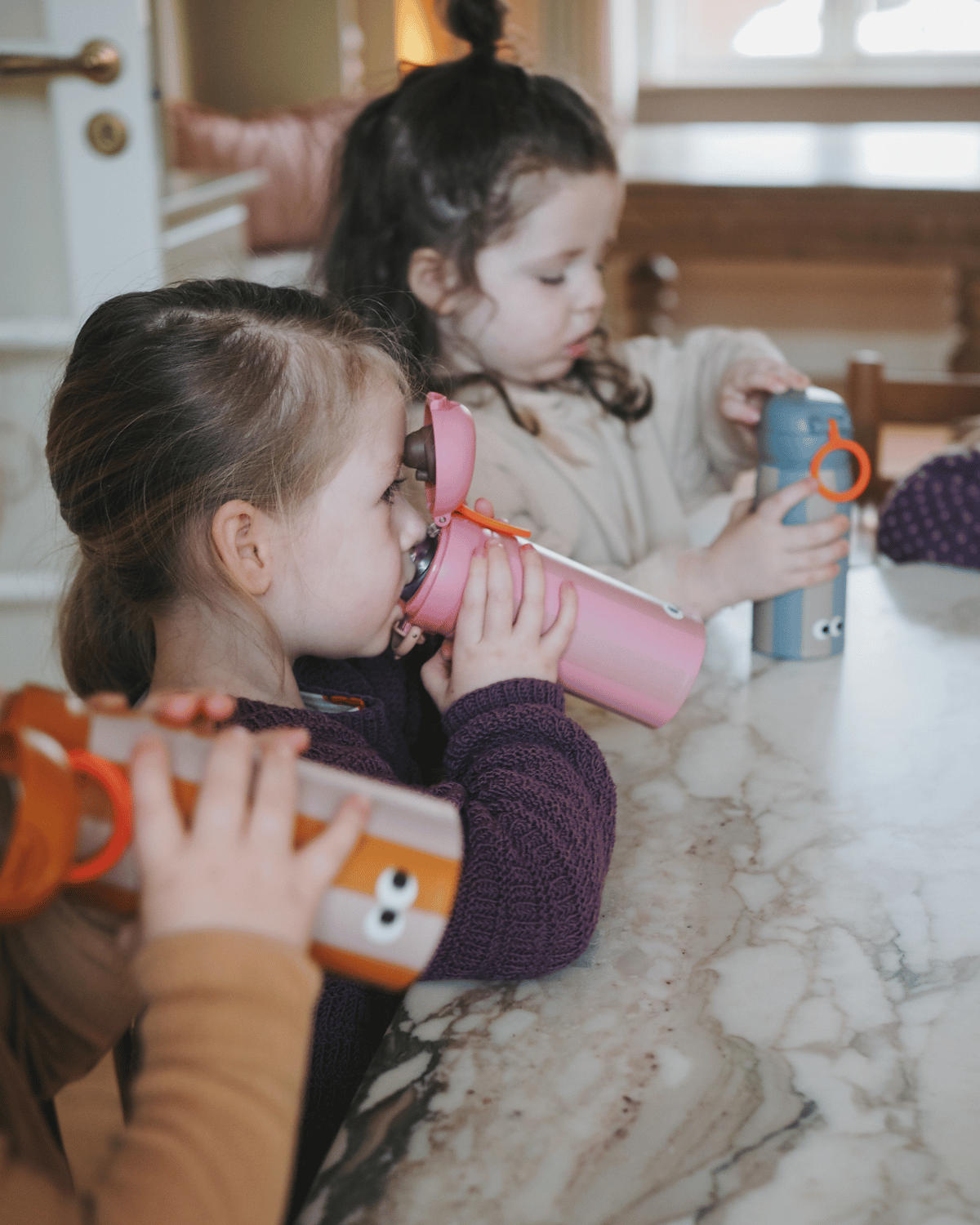Noui Noui Water Bottles borraccia Dino 350 ml