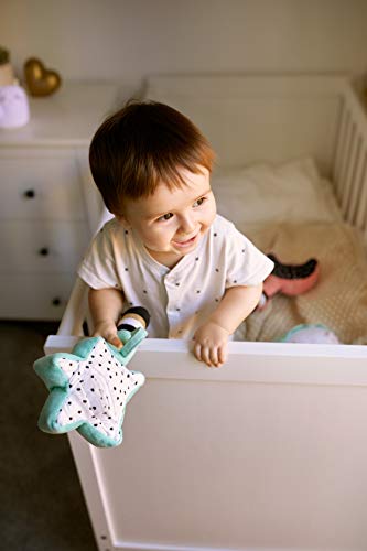 Miniland Wandy Star luce notturna stella verde 23 cm